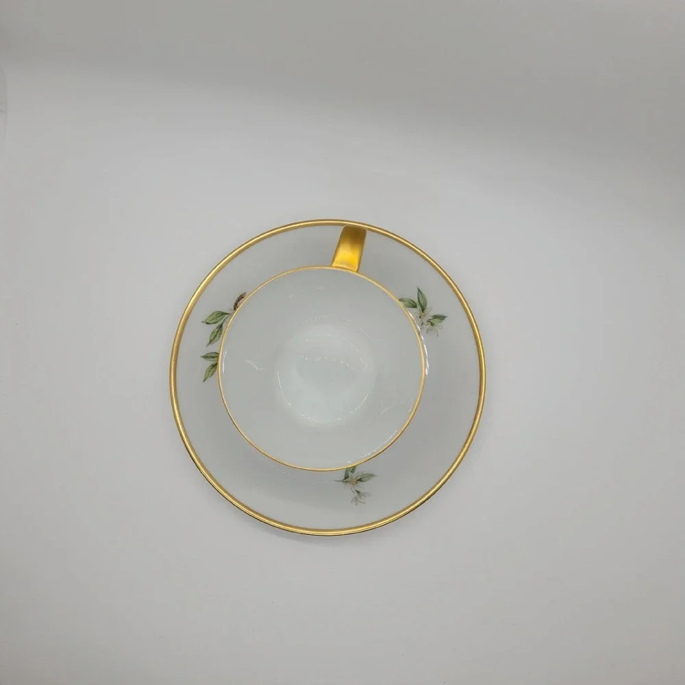 Hutschenreuther Noblesse Pasco Demitasse Cup Saucer Set Orange Gold Germany‎